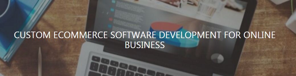 custom ecommerce software development